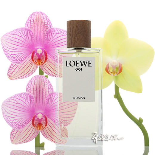 loewe罗意威 事后清晨001女士淡香水EDT 小样/正装 商品图0