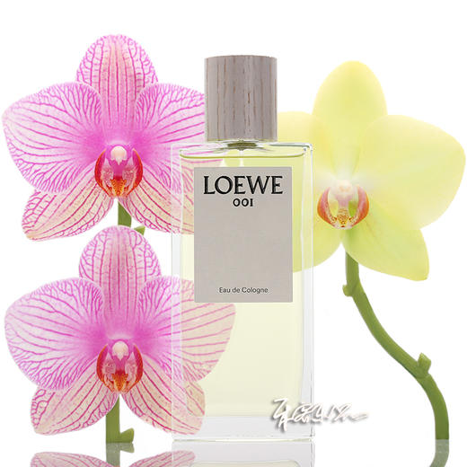 loewe罗意威 事后清晨001中性古龙水EDC 小样/正装 商品图0