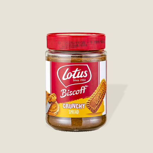 和情缤咖时焦糖饼干调味酱（颗粒型） 380g 商品图0