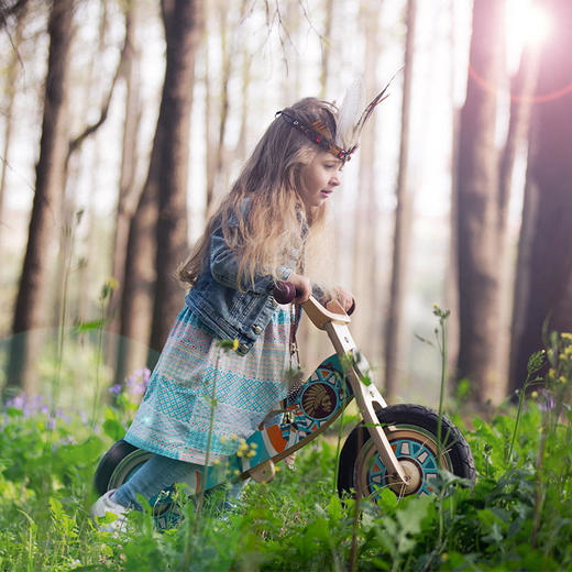 【双十一特价】德国MAXSUN2-7岁儿童小酋长平衡车无脚踏滑步木溜车 商品图1