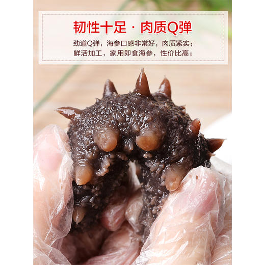 【百款爆品】大牌好物冰点价！46g胡庆余堂捷净海参 免洗速发 商品图3