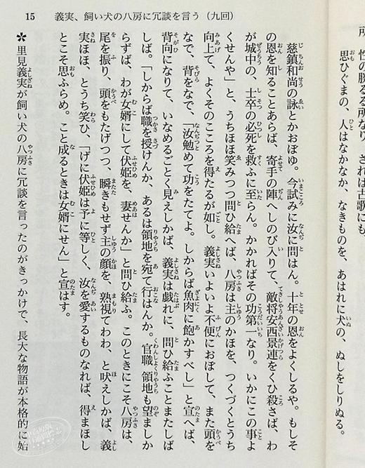 南总里见八犬传 日本古典文学系列 日文原版 南総里見八犬伝 与源氏物语齐名 芥川龙之介京极夏彦推荐 七龙珠犬夜叉原型 曲亭马琴 商品图5