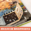 乐乐趣揭秘翻翻书城市篇 城市里的自然课 好奇猫流浪记 商品缩略图3