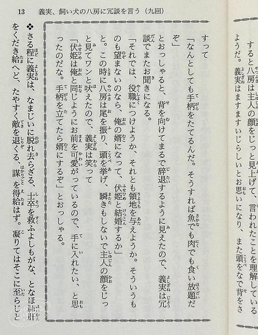 南总里见八犬传 日本古典文学系列 日文原版 南総里見八犬伝 与源氏物语齐名 芥川龙之介京极夏彦推荐 七龙珠犬夜叉原型 曲亭马琴 商品图4