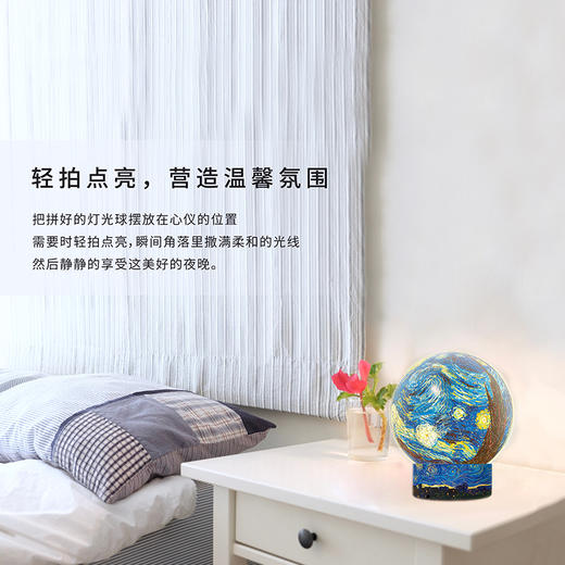 236片 轻触控制灯光球体拼图  JA1007 梵谷-星夜 商品图3