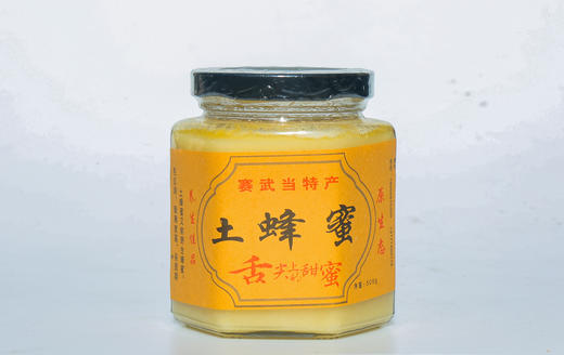 【茅箭蜂蜜】赛武当农家土蜂蜜1斤装  商品图0