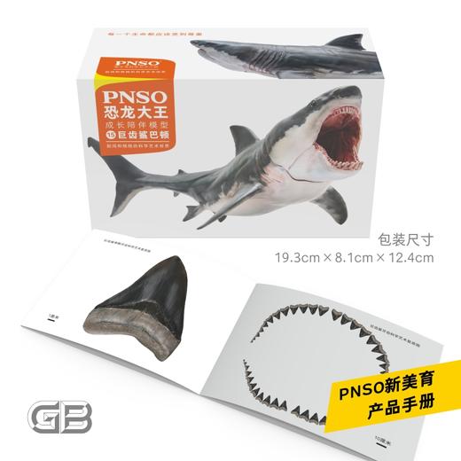 PNSO巨齿鲨巴顿恐龙大王成长陪伴模型15 商品图3