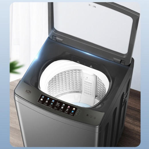 海尔（Haier）洗衣机XQS100-BZ268 商品图2