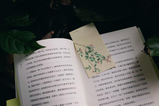 《诗人十四个》文学博士黄晓丹，师从叶嘉莹先生。以古典诗词为媒介，记录漫长青春的冲突与觉悟。 商品图2