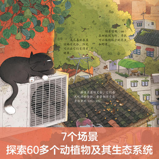 乐乐趣揭秘翻翻书城市篇 城市里的自然课 好奇猫流浪记 商品图2