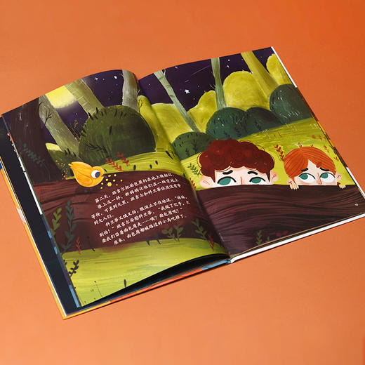 班吉尔和科兰蒂 商品图1