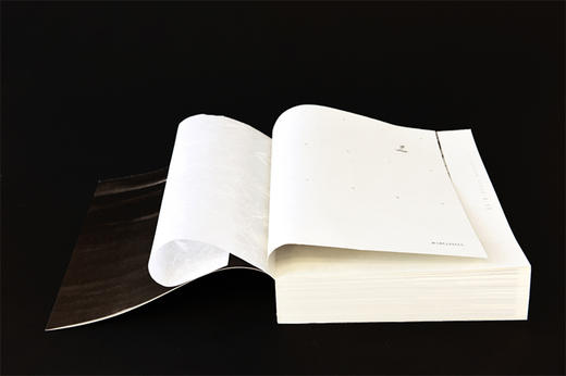 心帆飞扬 楊明義的江河湖海 杨明义水墨画作品集 商品图2