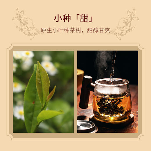 正山小种红茶2021年新茶礼盒装160g 商品图3