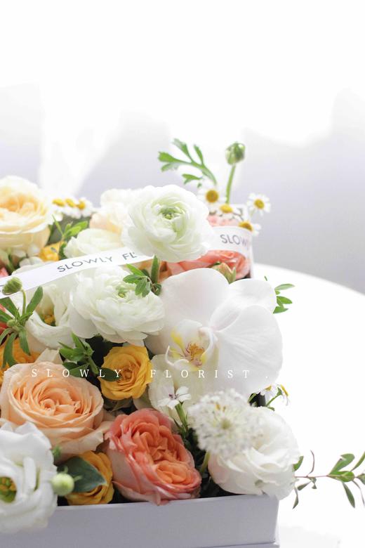 夏日花园花盒 商品图1