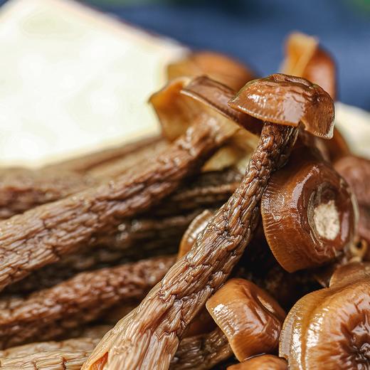 候物 鹿茸菇 炖炒煲汤百搭食材 250g/袋 商品图1