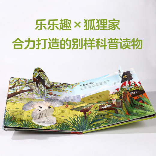 乐乐趣揭秘翻翻书-城市里的自然课 商品图4