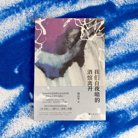 骆以军《我们自夜暗的酒馆离开》短篇代表作