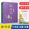 新母语 4-6年级（共6册） 商品缩略图3