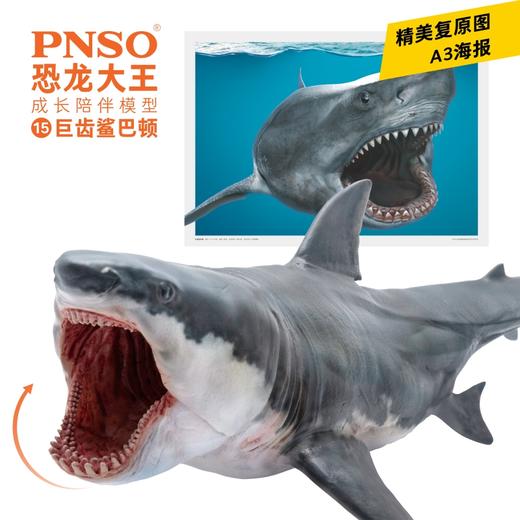 PNSO巨齿鲨巴顿恐龙大王成长陪伴模型15 商品图2