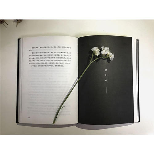 白夜行新版 东野圭吾小说集 易烊千玺 孟非等名人 豆瓣9.1热评49万人满分 侦探 悬疑 推理小说 商品图2