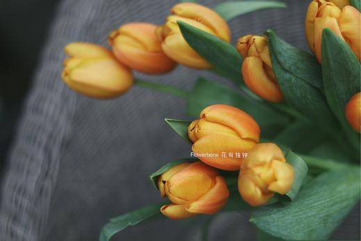 【周四团购】香橙挞郁金香69.8元 2人拼团 商品图1