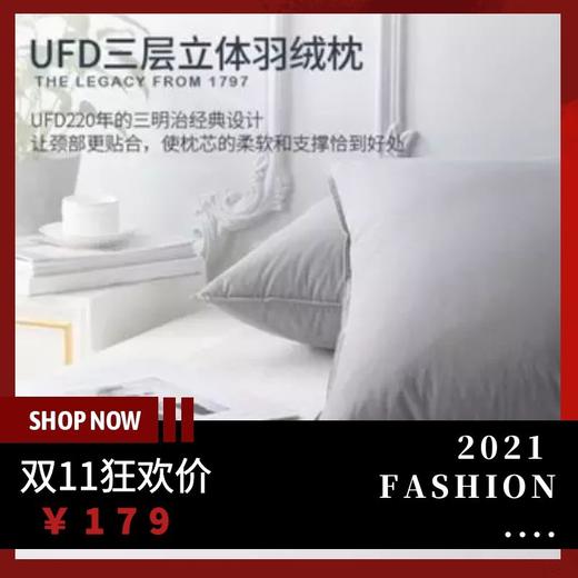 UFD波兰羽绒枕五星级酒店枕头 枕芯双人护颈椎助睡眠单人 商品图0