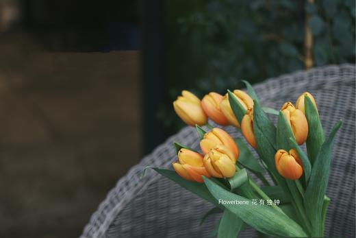 【周四团购】香橙挞郁金香69.8元 2人拼团 商品图2