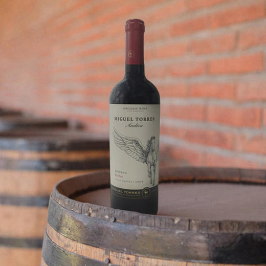 MM 山姆 米高桃乐丝（Miguel Torres） 智利进口 安第卡珍藏美乐干红葡萄酒 750ml 商品图1
