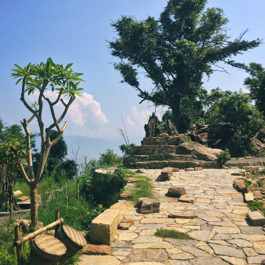 3天2晚【康藤·红河谷帐篷营地】寒假可用！含每日三餐、营地下午茶、捉鱼、梯田徒步、竹编体验等，带你逃离都市，来一场真正的自然考古之旅！ 商品图2