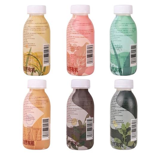 想真有机摇摇乐组合装6种口味 （五谷杂粮粉） 商品图5