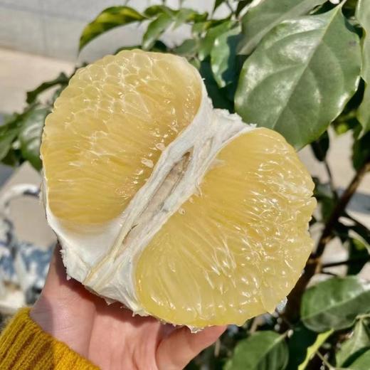 泰国青柚   （又称“丑柚”蜂蜜青柚子）  48小时左右发货 商品图7