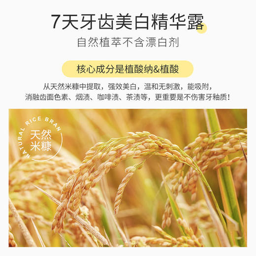 【黄牙“涂改液”涂出冷光大白牙】牙齿美白精华露 快速见效亮白 温和不刺激 涂一涂击退黄牙色素、色渍、牙齿亮白、口腔清新 商品图2