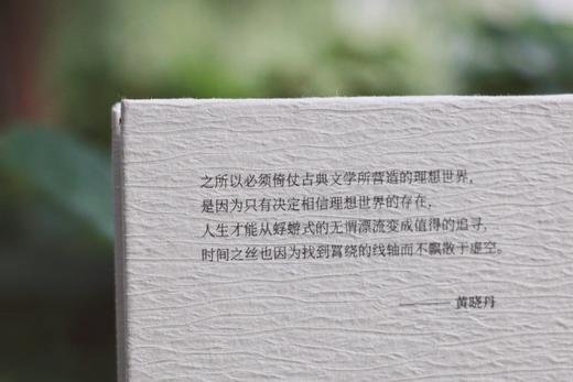 《诗人十四个》文学博士黄晓丹，师从叶嘉莹先生。以古典诗词为媒介，记录漫长青春的冲突与觉悟。 商品图4
