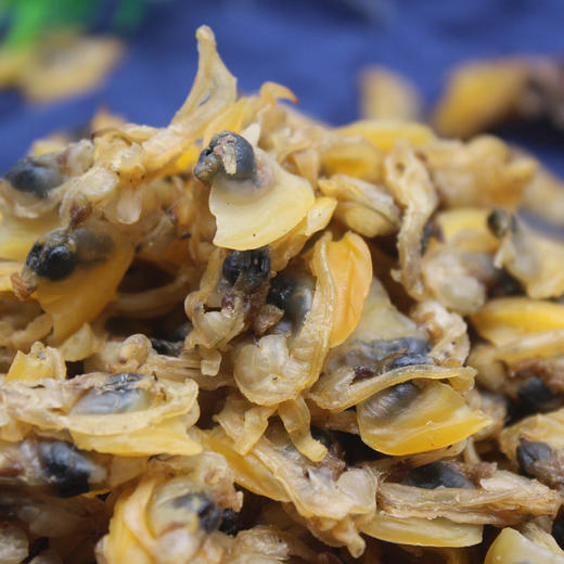 丨生态丨野生海捕花蛤干1斤 自然晒干，无化学添加 商品图0