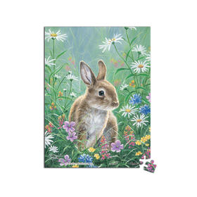 150片 迷你拼图 塑料拼图 P1295 Abraham Hunter-小野兔