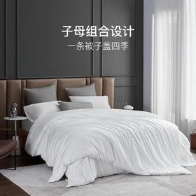 100%双宫茧桑蚕丝被 二合一子母被