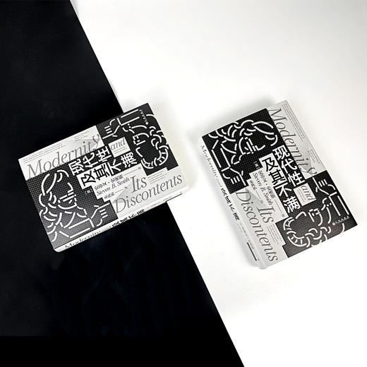 后浪正版 现代性及其不满 政治哲学思想史文化批判现代性困境 智慧宫系列丛书012 西方哲学书籍 商品图7