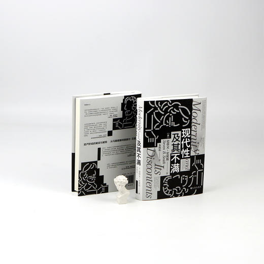 后浪正版 现代性及其不满 政治哲学思想史文化批判现代性困境 智慧宫系列丛书012 西方哲学书籍 商品图4