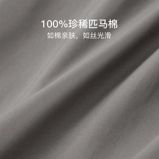 100支奢密贡缎匹马棉四件套 商品图0