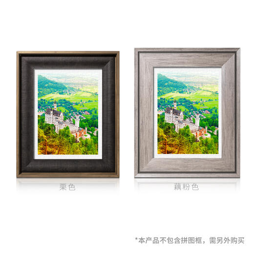 300平面拼图 塑料拼图 H2343 德国-春季天鹅堡 商品图3