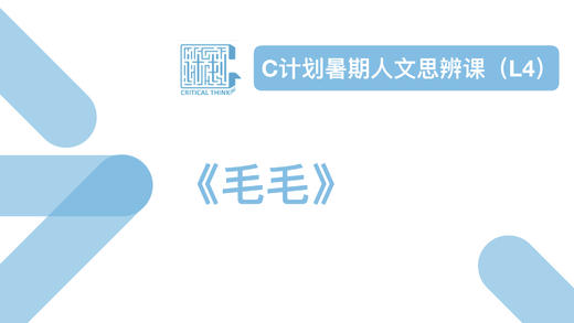 导读-《毛毛》 商品图0