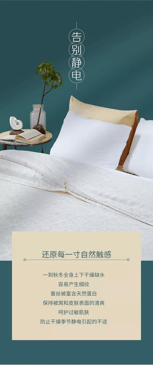 【爆】【6F】富安娜沁享蚕丝被，牌牌价5980，活动价1699 商品图12