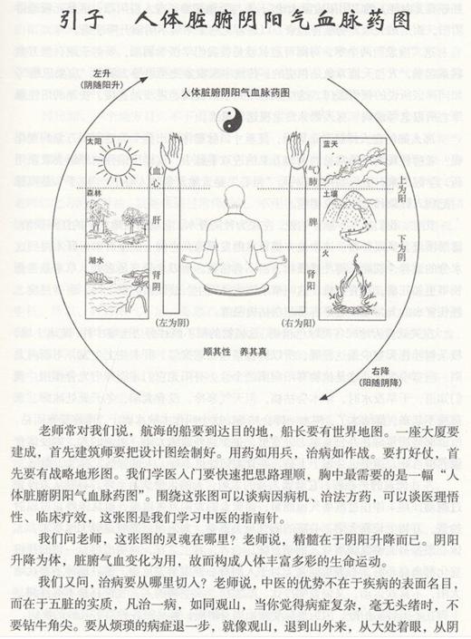 任之堂跟诊日记4 修订版 曾培杰 陈创涛 编著 中医学书籍 中医入门临床思路 中国中医药出版社9787513264587 商品图3