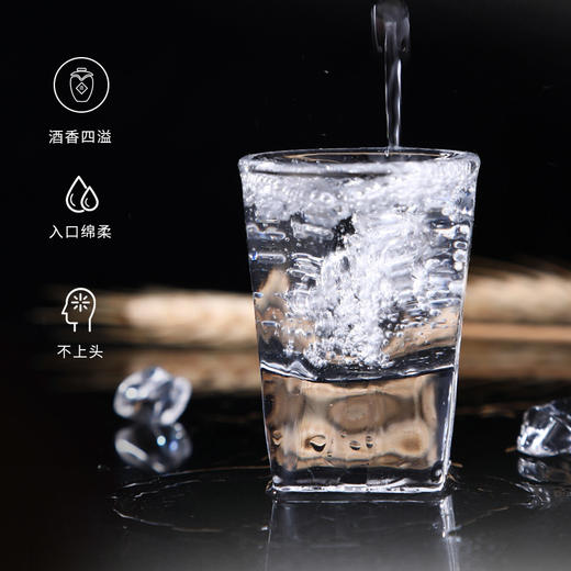 #小醉匠醉叁42度浓香型 商品图1