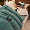 (5折特惠)冬季加厚牛奶绒被套单件150x200羊羔绒双层盖毯法兰绒毛毯被罩女 FYJ-MB-1 商品缩略图0