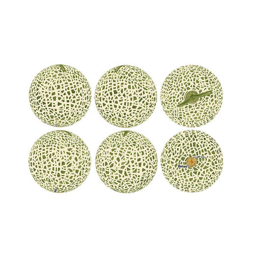 【折扣商品 不退不换】24片 钥匙扣拼图 塑料拼图 A3427 哈密瓜 商品图2