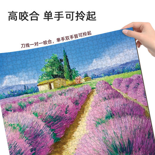 T 古部拼图1000片 商品图7