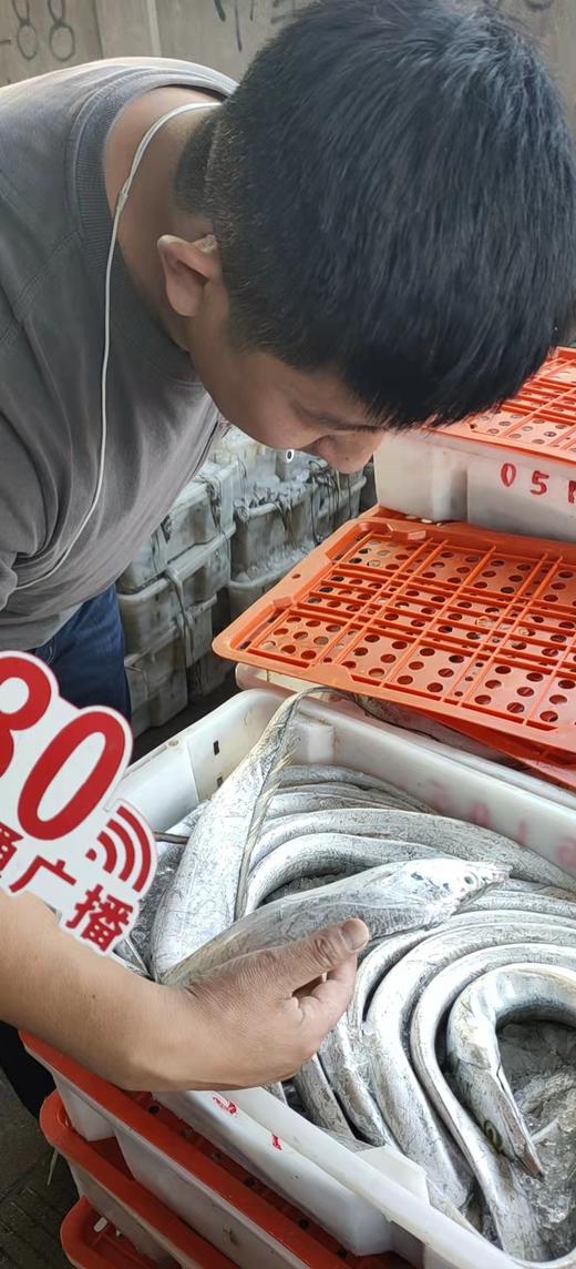 【年终钜惠】2025舟山带鱼 五斤装 （中带，大带，顶带）易鲜得商城采购小哥全程品控 商品图6