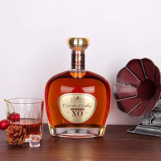 [洋酒]法国花园谷拿破仑XO白兰地40度700ml 商品图1
