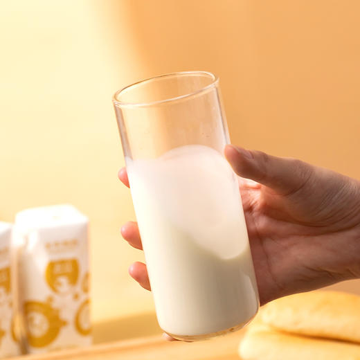 左江·水牛纯奶，“奶中贵族”，营养完胜纯牛奶 商品图2